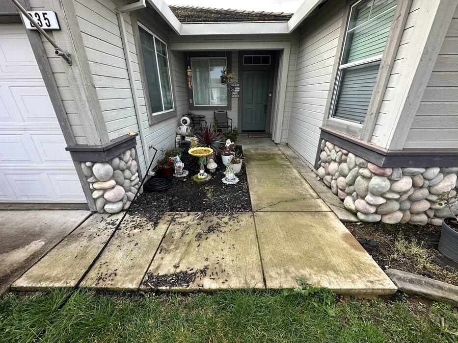 Walkway before pressure washing