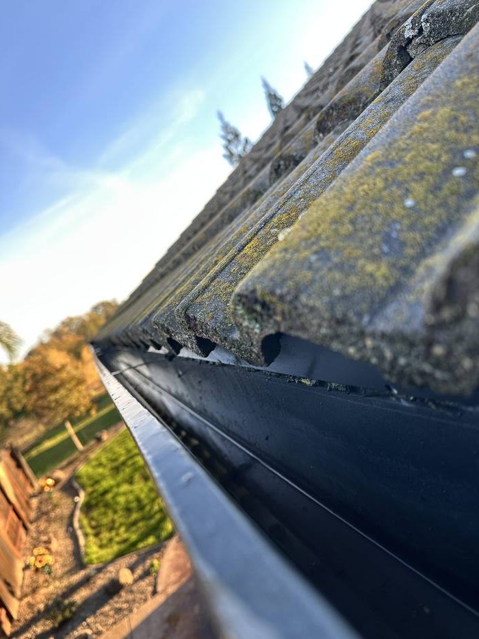 Gutter cleaning
